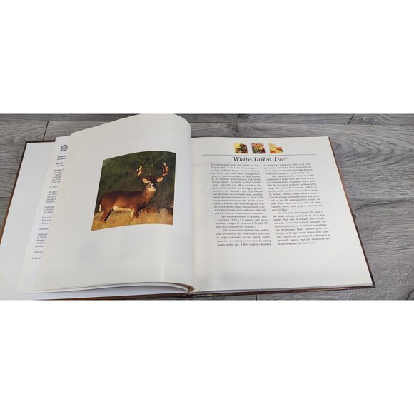 Wild Game Cookbook Wild about Venison Stoeger Publishing World Class Recipes ‘02 - Picture 7 of 10